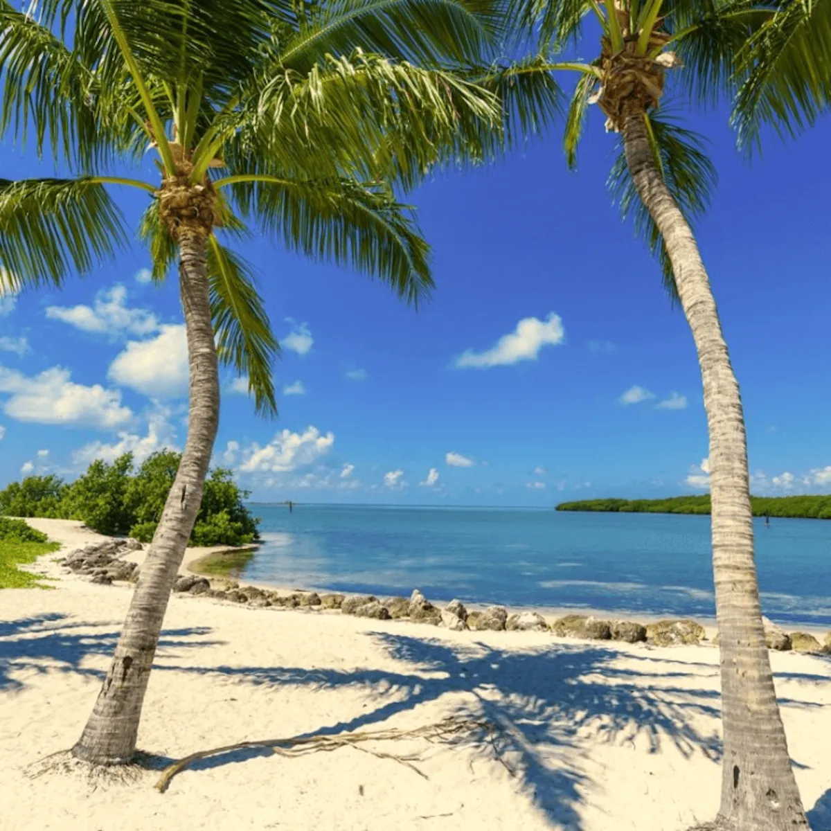 The Florida Keys, a tropical paradise unlike any other, is a wonderland for the adventurous at heart. With its pristine beaches, crystal-clear waters, and an abundance of marine life, the Keys offer endless opportunities for snorkeling, scuba diving, and fishing.