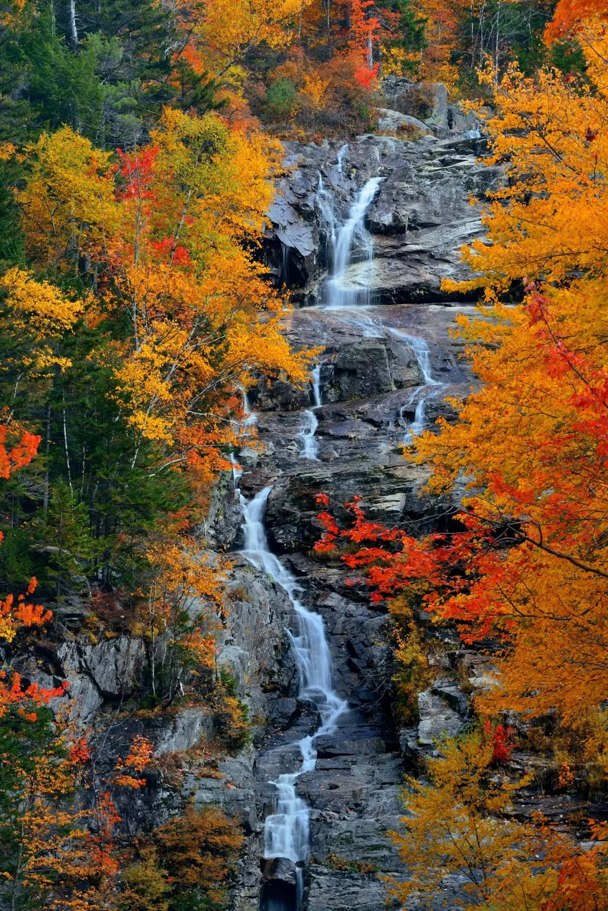 Fall foliage 2023